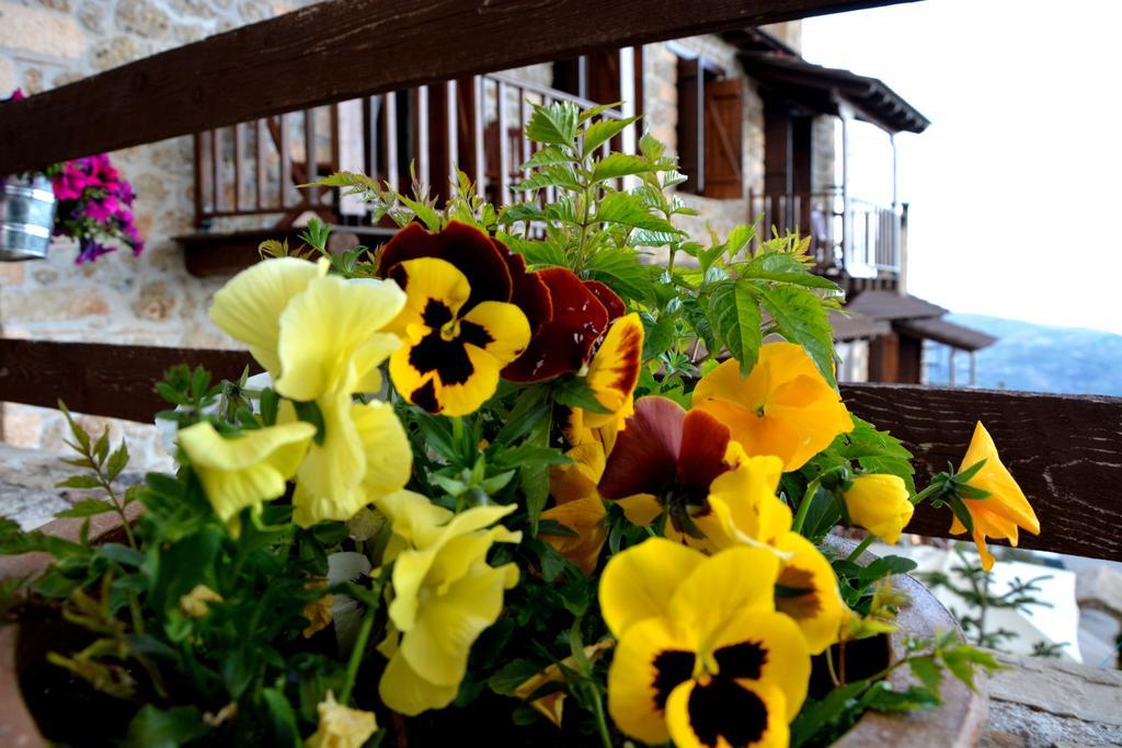 Nymfes Guesthouse Synikia Mesi Trikalon Room photo