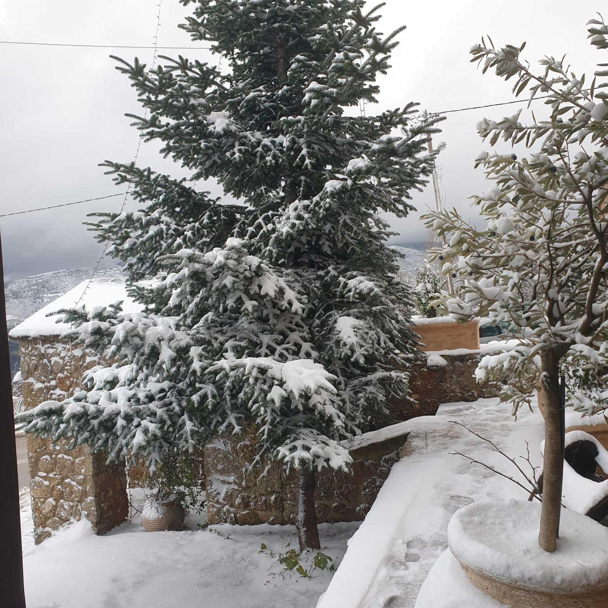 Nymfes Guesthouse Synikia Mesi Trikalon Exterior photo